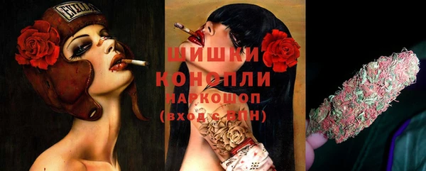 винт Магас