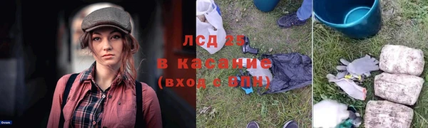 твердый Майский
