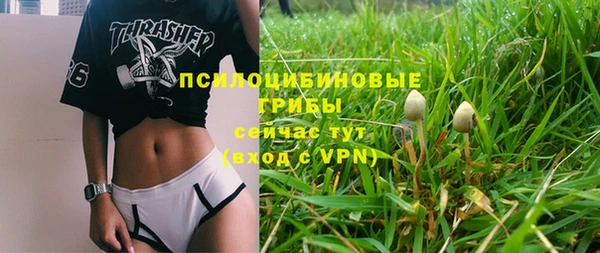 винт Магас