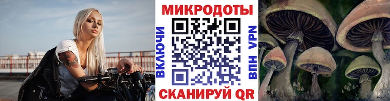 Псилоцибиновые грибы прущие грибы  omg зеркало  Геленджик 
