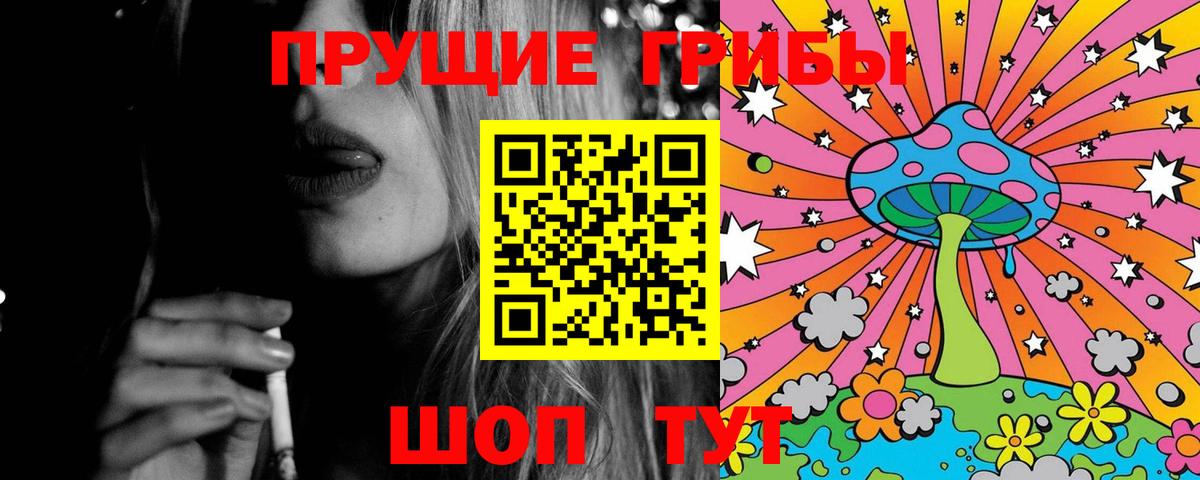 Псилоцибиновые грибы Psilocybe Геленджик
